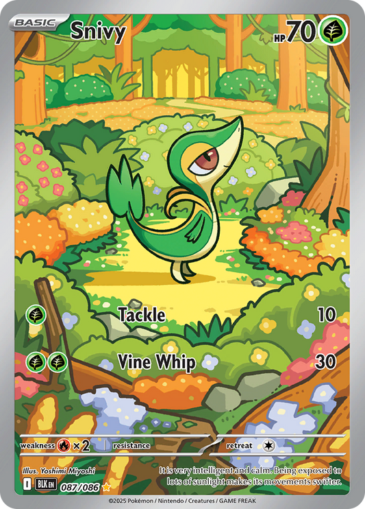 Snivy - 087/086 - Illustration Rare