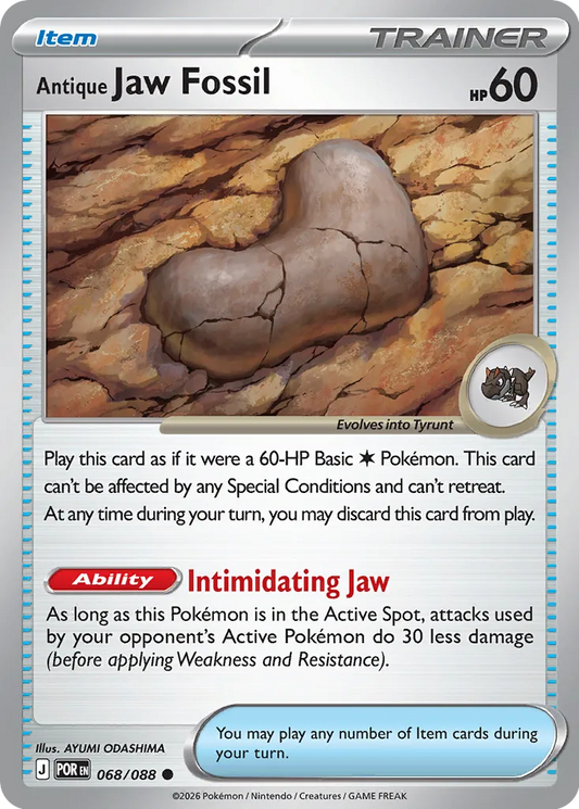 Antique Jaw Fossil - 068/088 - Common