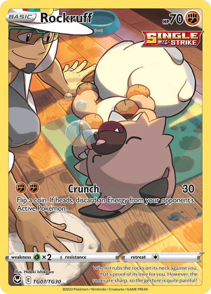 Rockruff - TG07/TG30 - Rare Holo