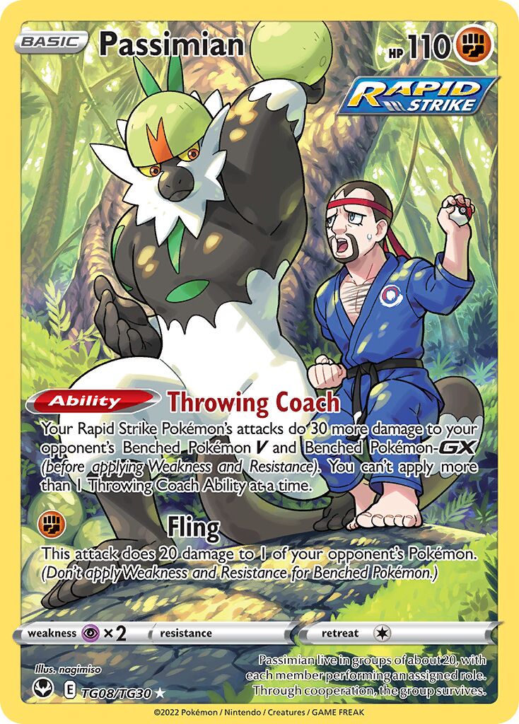 Passimian - TG08/TG30 - Rare Holo