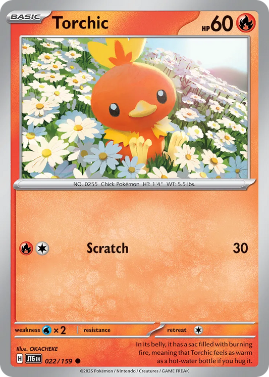 Torchic - 022/159 - Common