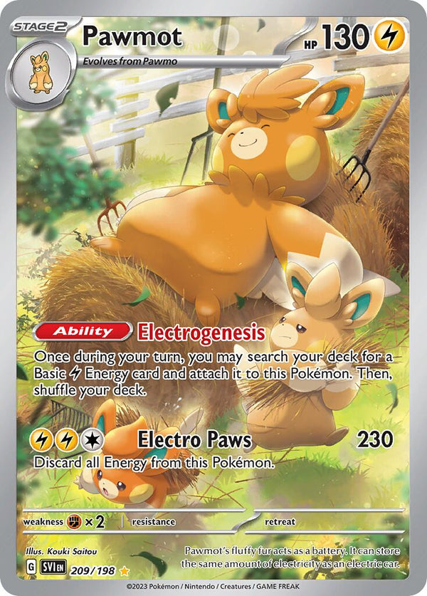Pawmot - 209/198 - Illustration Rare