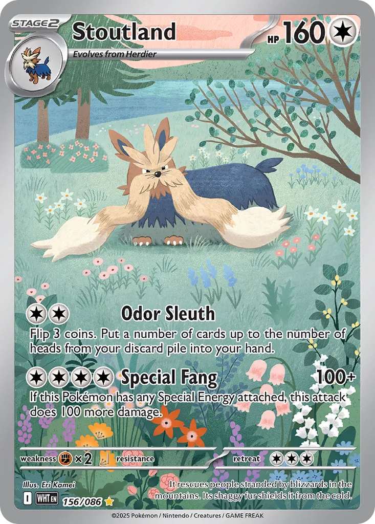 Stoutland - 156/086 - Illustration Rare