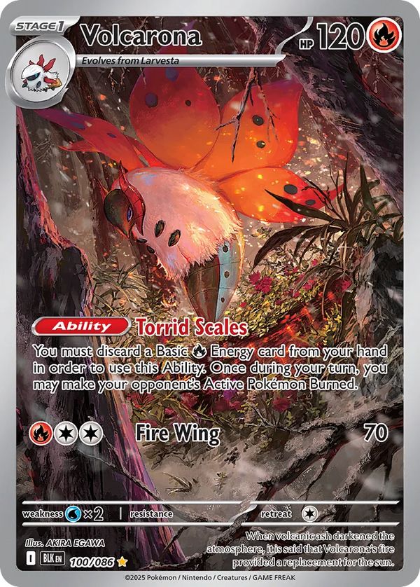 Volcarona - 100/086 - Illustration Rare