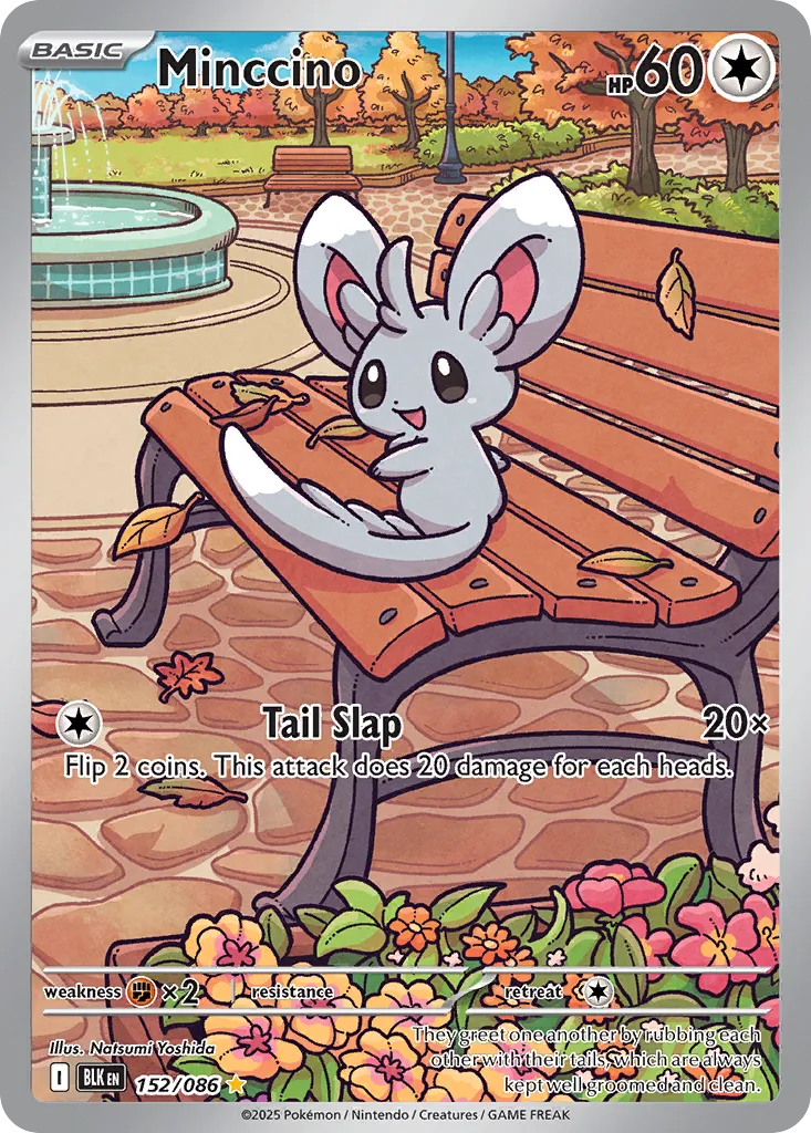 Minccino - 152/086 - Illustration Rare
