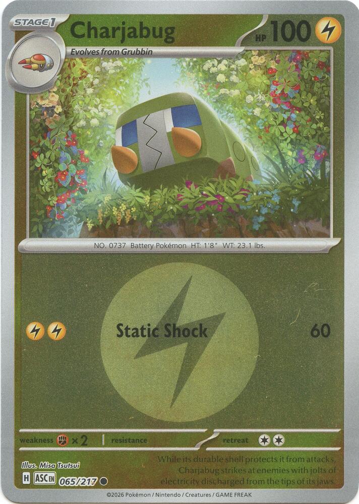 Charjabug (Energy Symbol Pattern) - 065/217 - Common