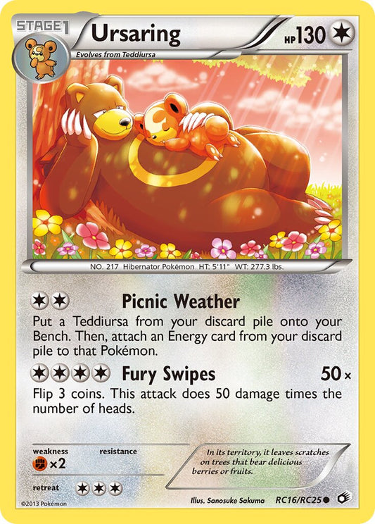 Ursaring - RC16/RC25 - Common