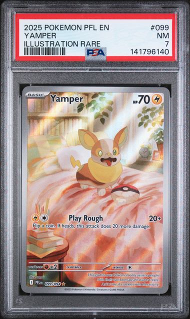 2025 POKEMON PFL EN-PHANTASMAL FLAMES #099 YAMPER ILLUSTRATION RARE - PSA 7