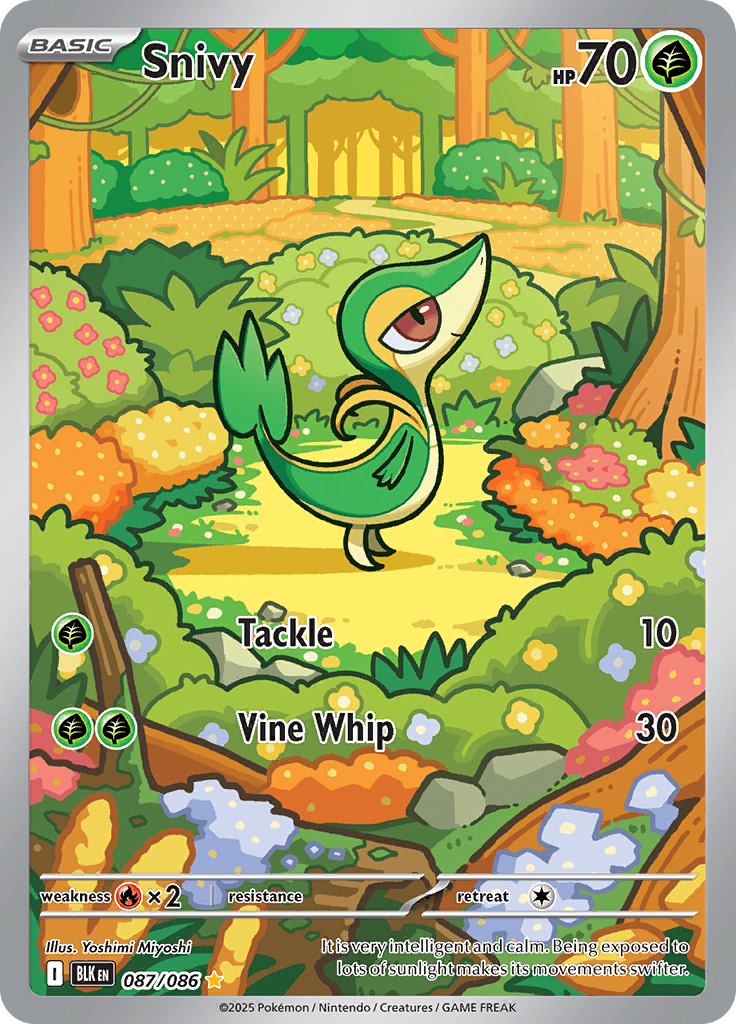 Snivy - 087/086 - Illustration Rare