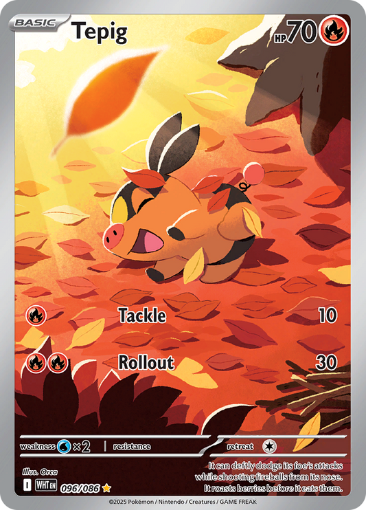 Tepig - 096/086 - Illustration Rare
