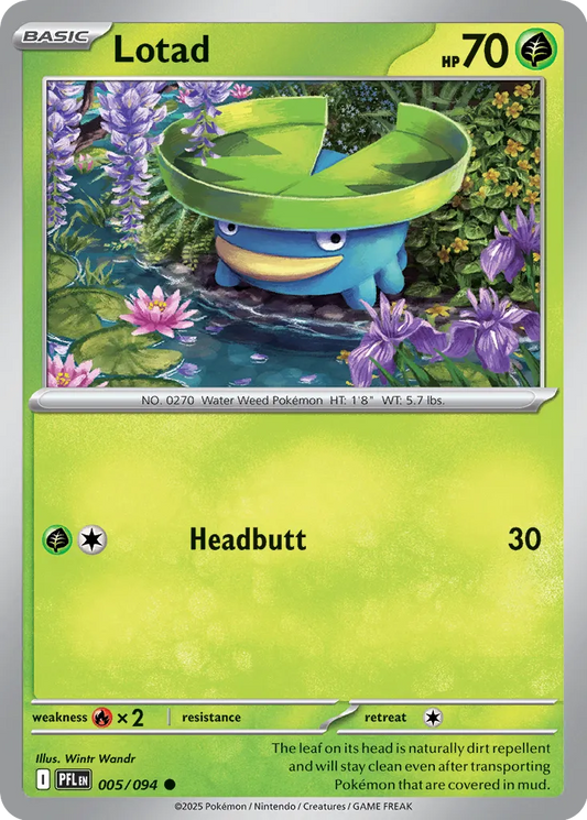 Lotad - 005/094 - Common