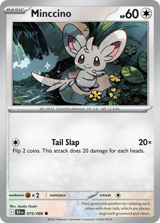 Minccino - 075/086 - Common
