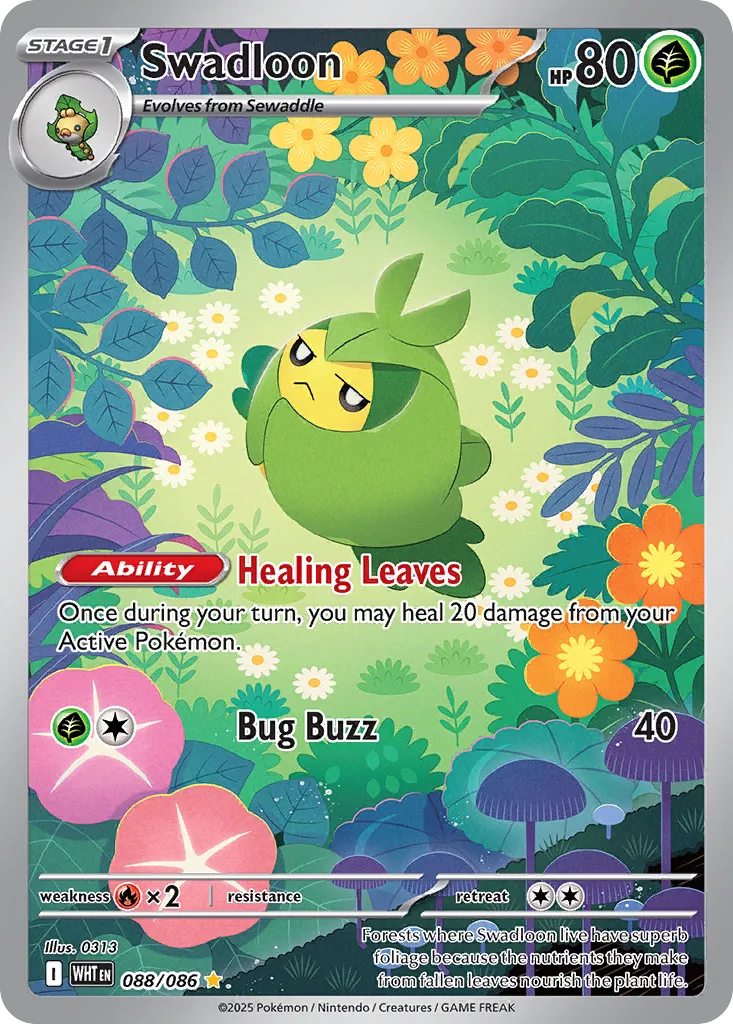 Swadloon - 088/086 - Illustration Rare