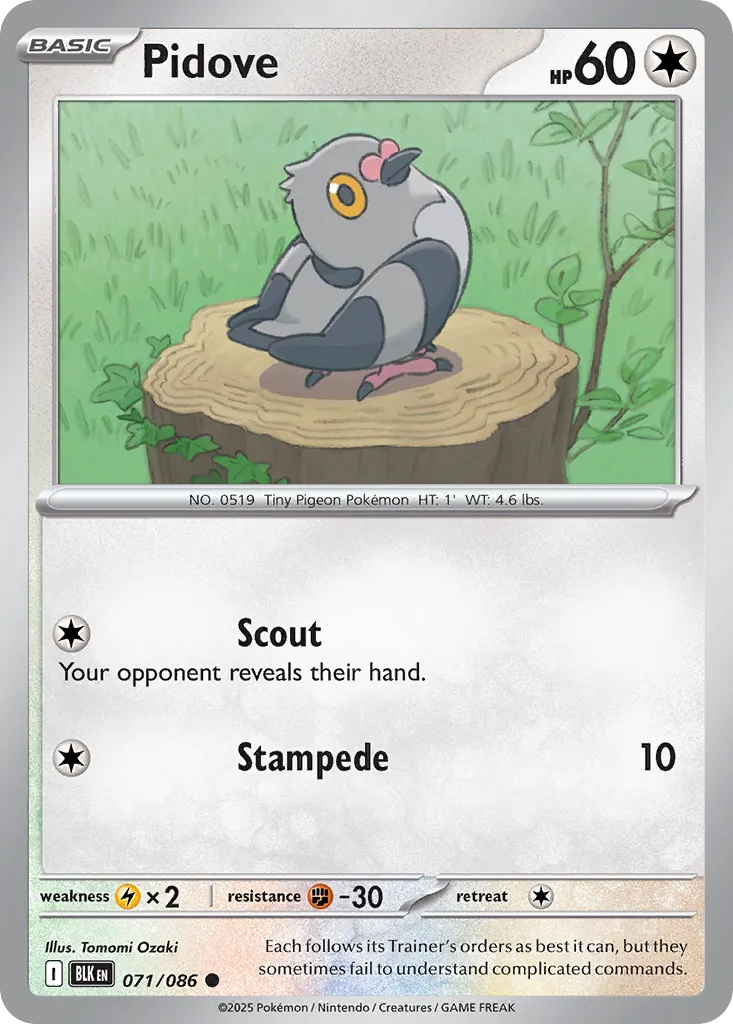 Pidove - 071/086 - Common