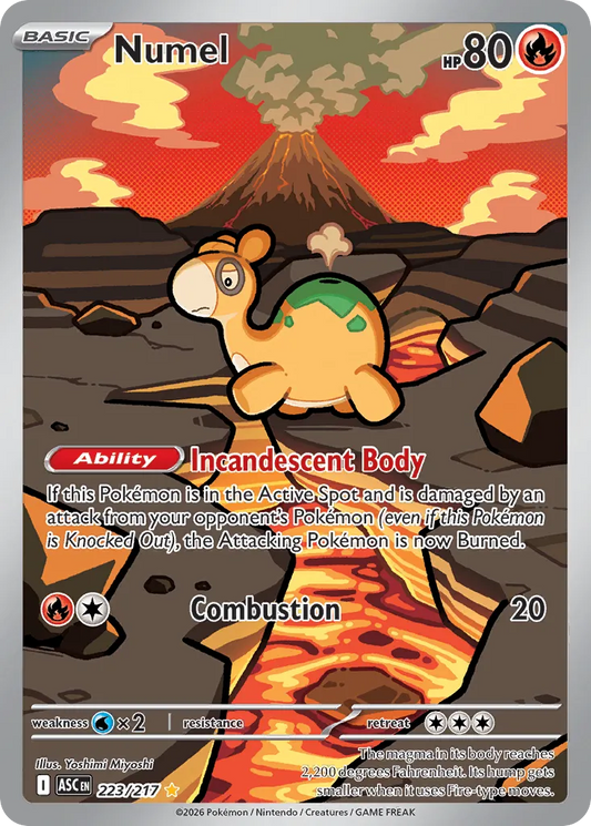 Numel - 223/217 - Illustration Rare