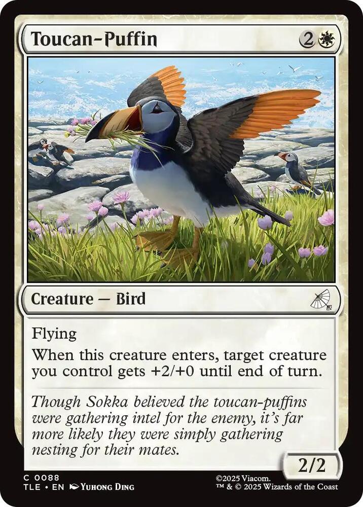 Toucan-Puffin - 88 - common