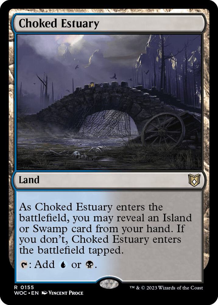 Choked Estuary - 155 - rare