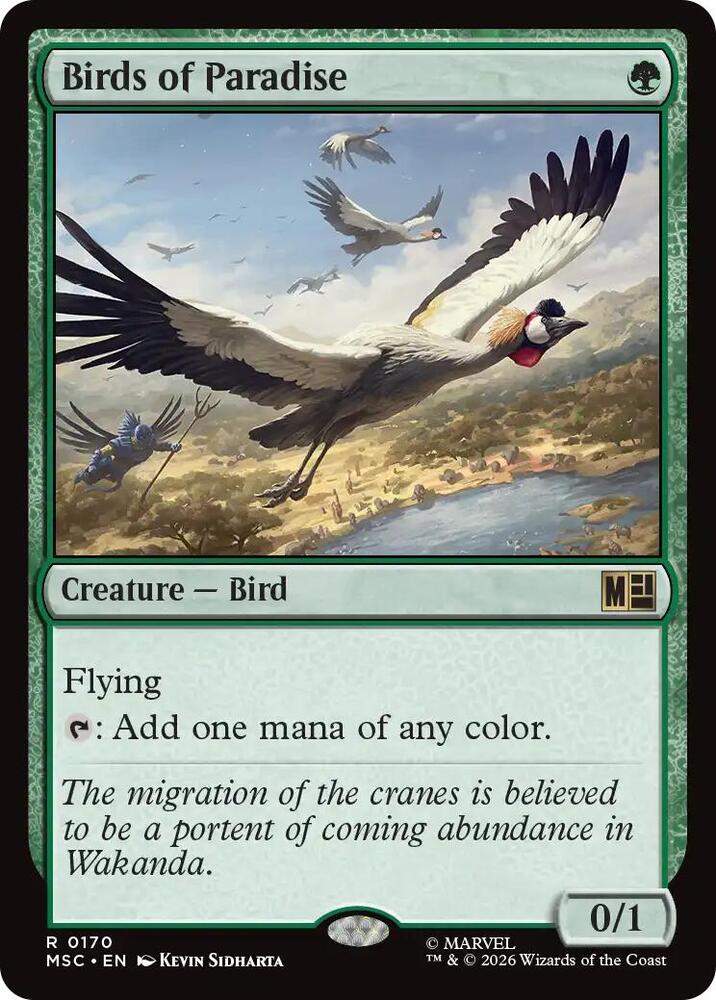 Birds of Paradise - 170 - rare