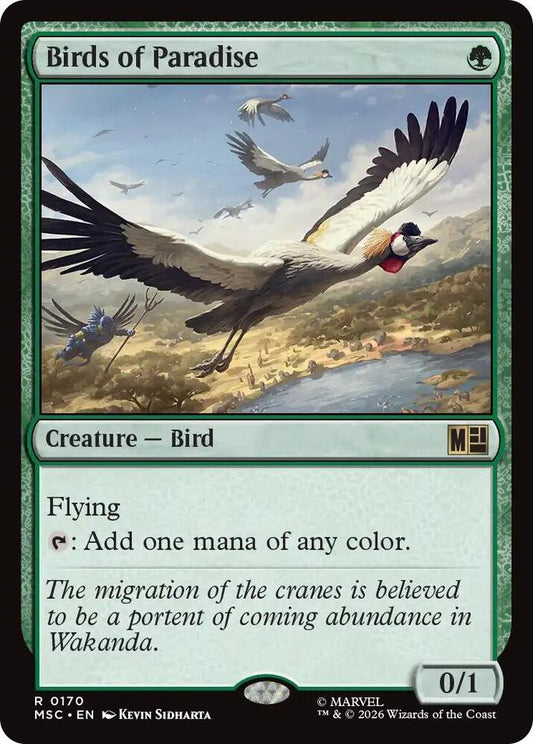 Birds of Paradise - 170 - rare