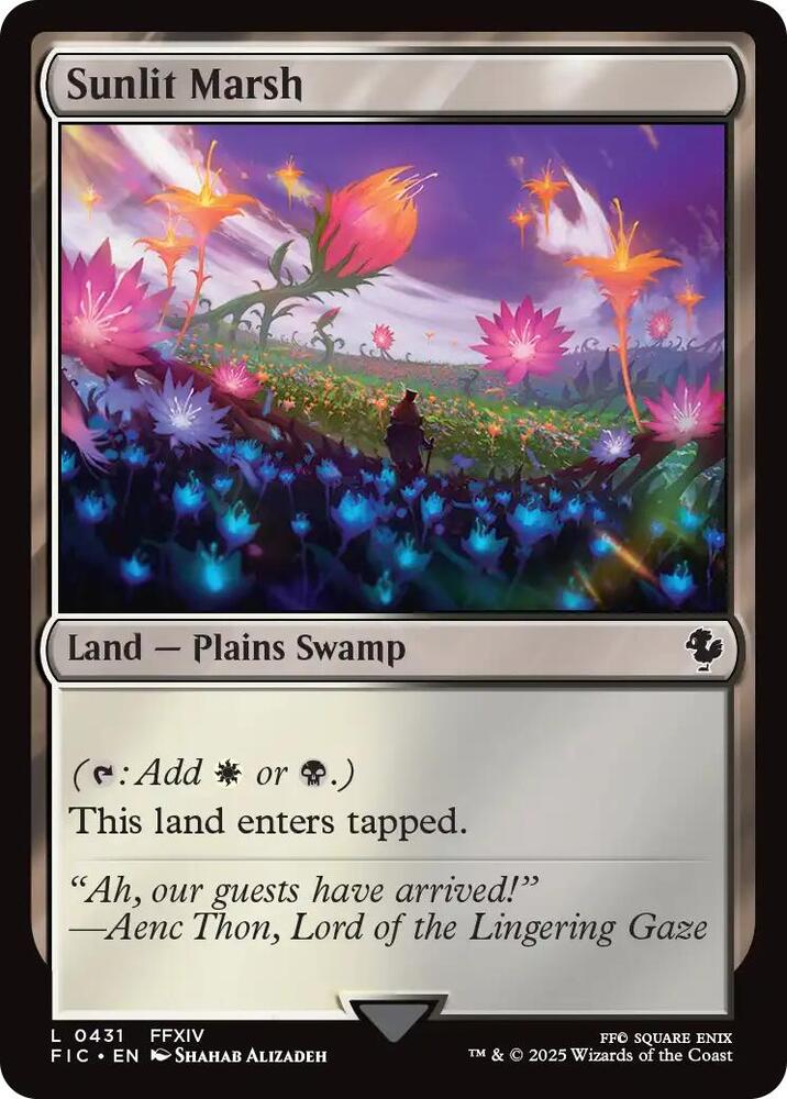 Sunlit Marsh - 431 - common
