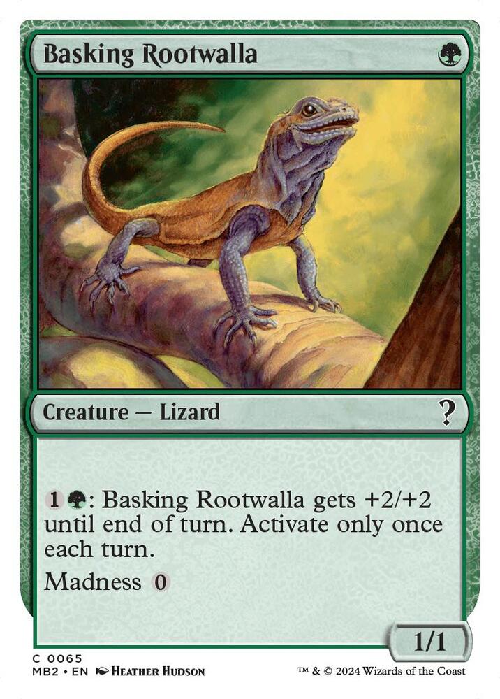 Basking Rootwalla - 65 - common