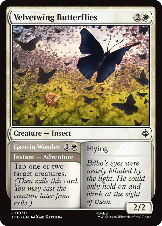 Velvetwing Butterflies // Gaze in Wonder - 30 - common