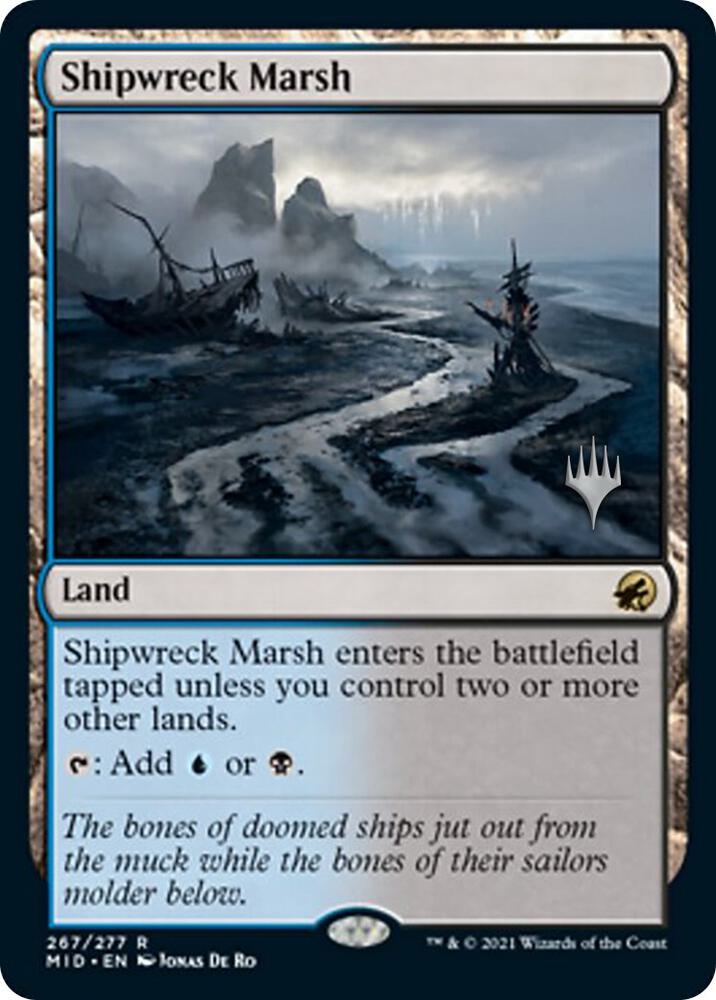 Shipwreck Marsh - 267p - rare