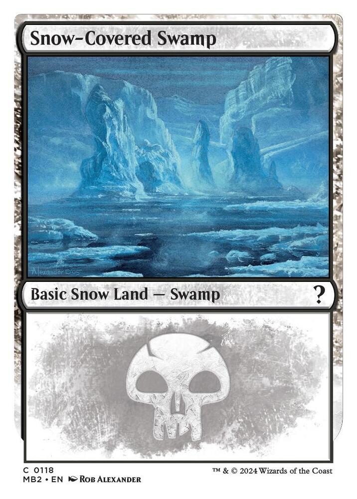 Snow-Covered Swamp - 118 - common