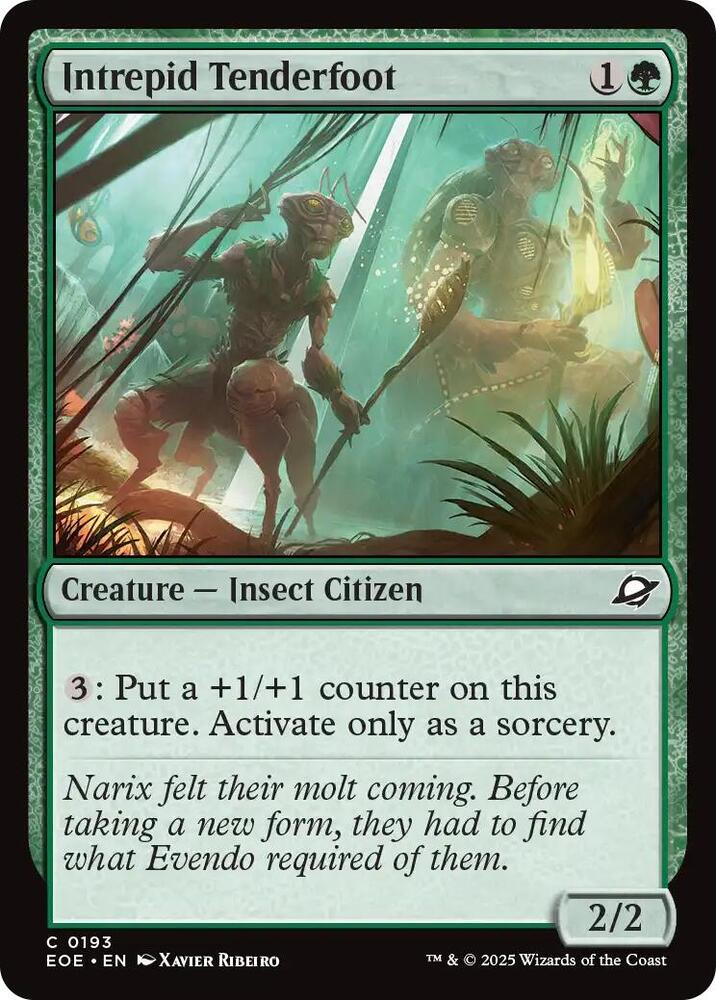 Intrepid Tenderfoot - 193 - common