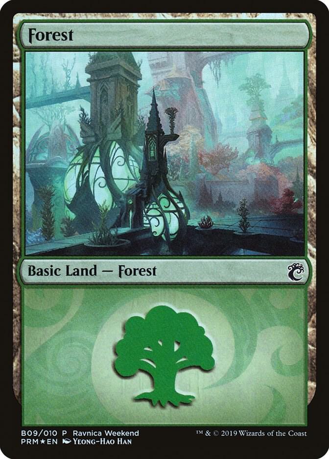 Forest - B09 - common
