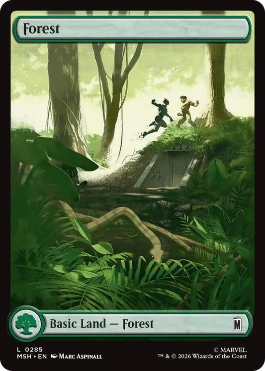 Forest - 285 - common