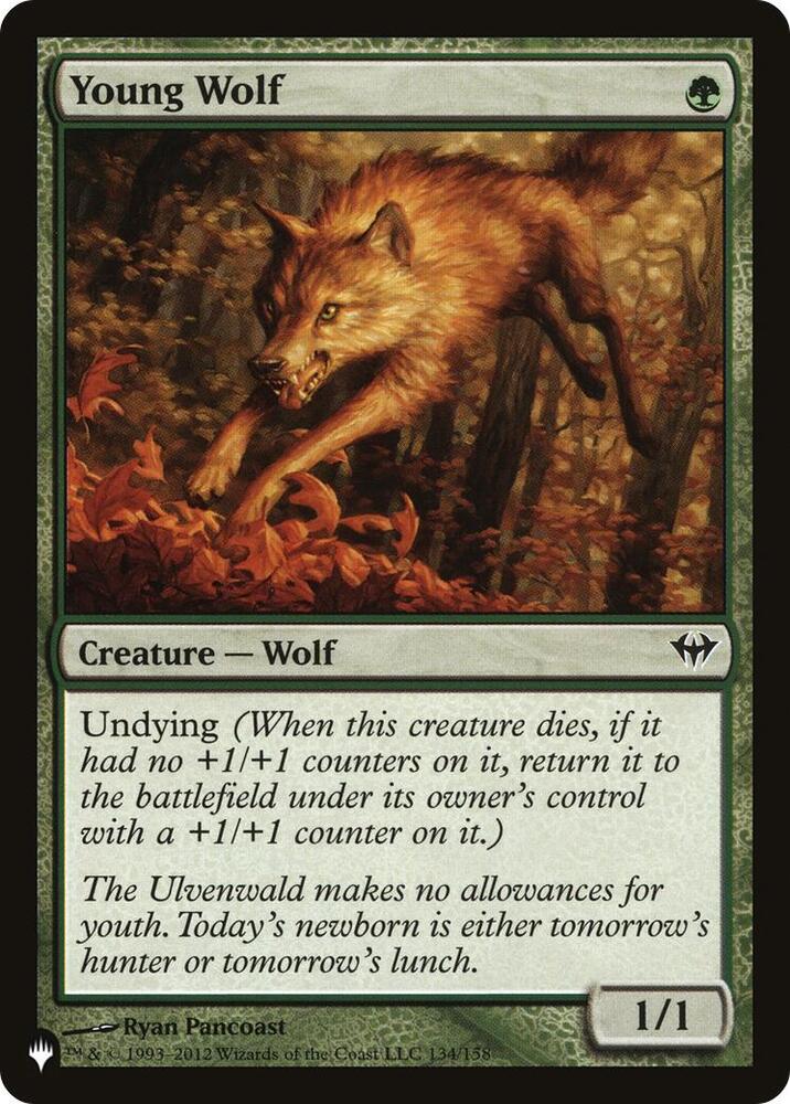 Young Wolf - DKA-134 - common