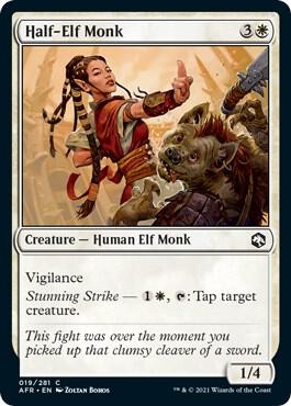Half-Elf Monk - 19 - common