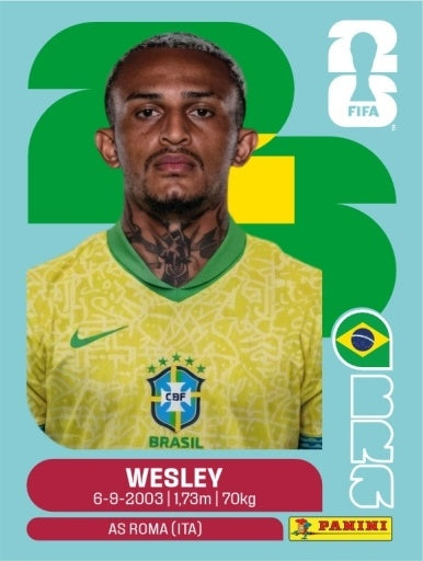 Wesley - Brasil - BRA8
