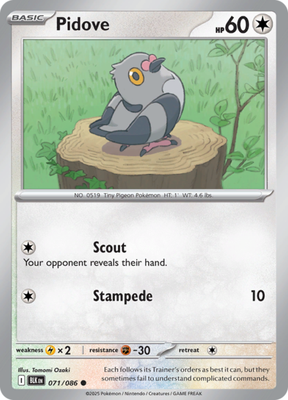 Pidove - 071/086 - Common